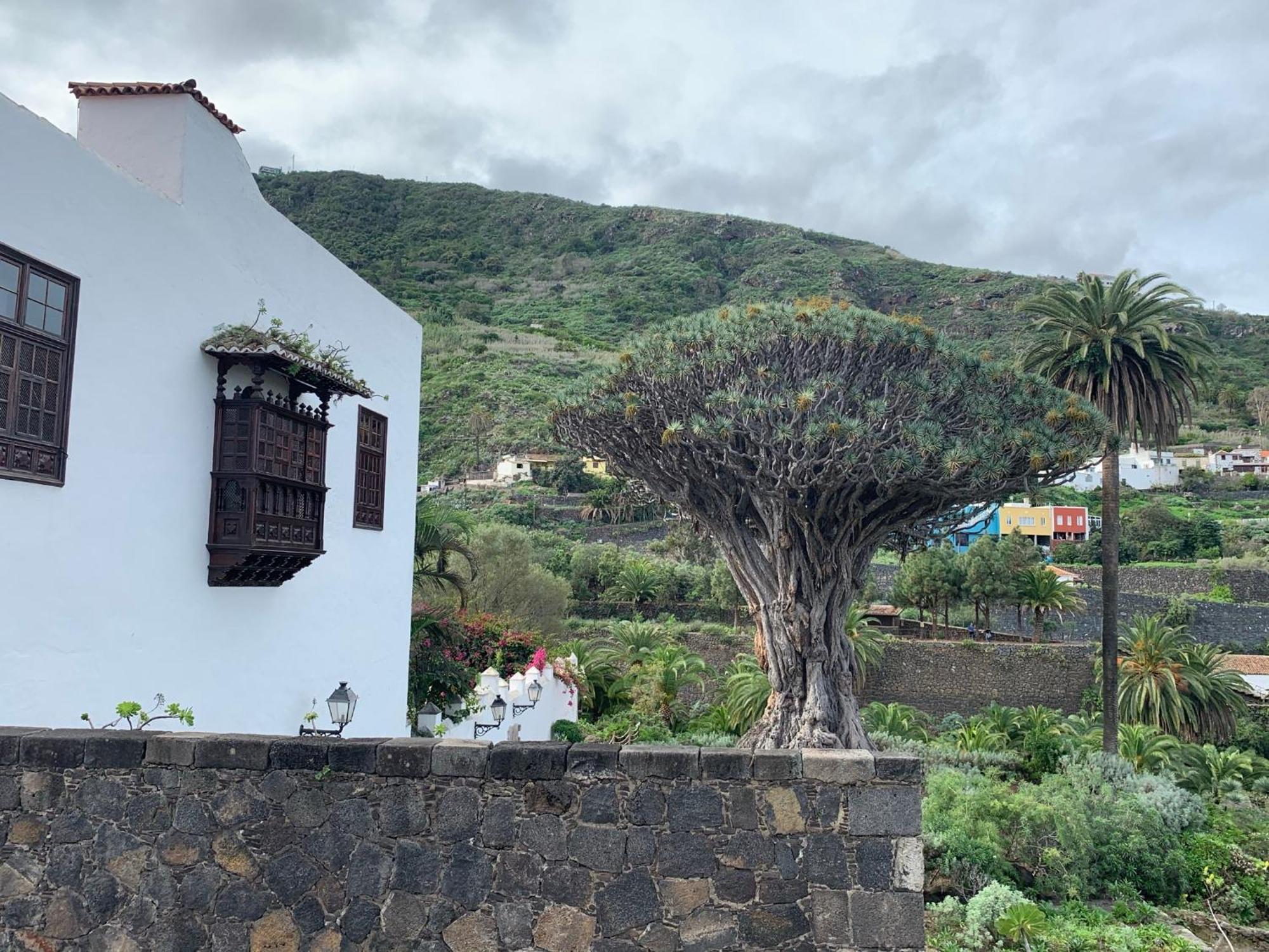 Casa La Baja Villa Garachico  Eksteriør billede